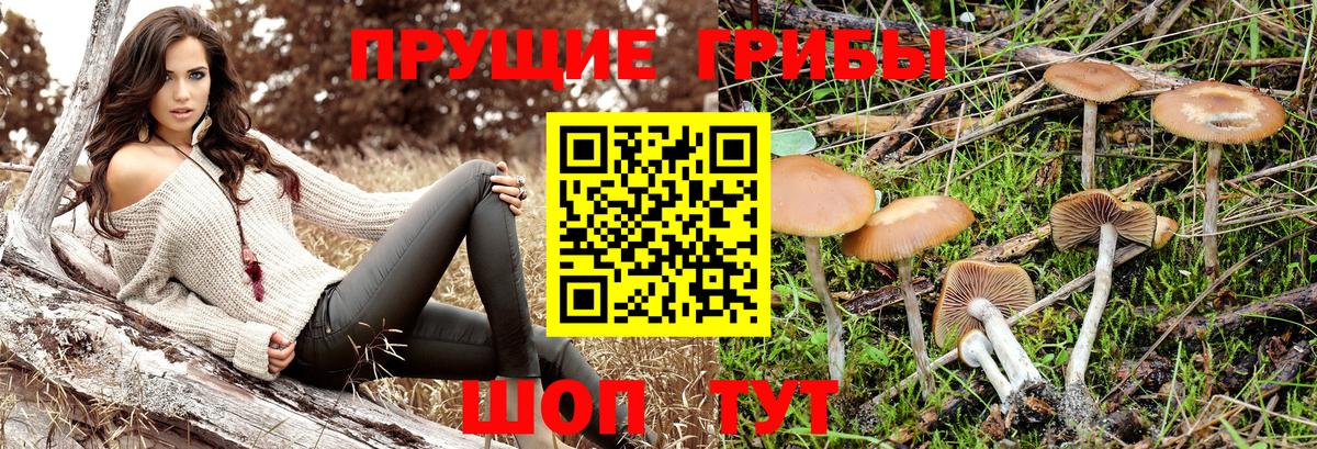 Галлюциногенные грибы MAGIC MUSHROOMS  Галлюциногенные грибы Psilocybe  Вход с VPN  Крымск 